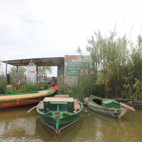 Valence-Atelier Paella-Albufera - voyage scolaire en Europe