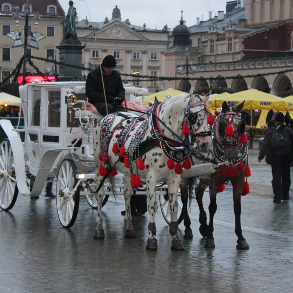 Cracovie - voyage scolaire en Europe