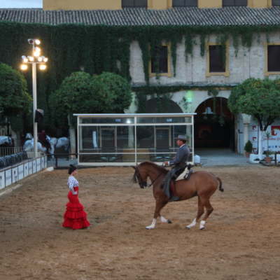Cordoue, histoire et écuries royales-Montilla Cordoue, histoire et écuries royales-Montilla