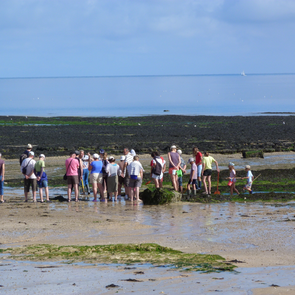 - voyage scolaire en Europe