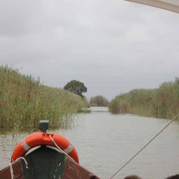 Albufera-Valence-atelier Paella - voyage scolaire en Europe