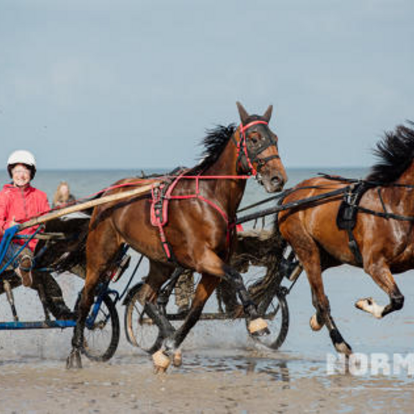 Le monde des courses de Deauville - voyage scolaire en Europe