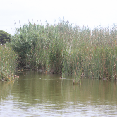 Delta de l'Ebre Delta de l'Ebre