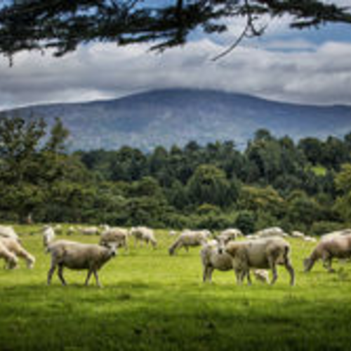 Ma classe voyage dans le Connemara