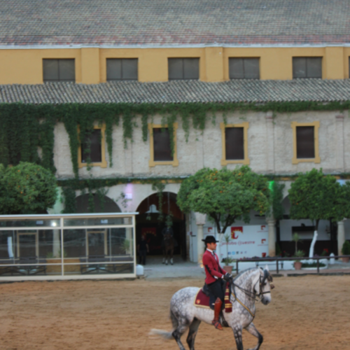 Ma classe voyage en Andalousie